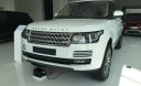 LandRover Range rover 2017 - Bán xe Landrover Range Rover HSE, Range Rover Vogue 2017 màu trắng, đen, xanh. Gọi 0918842662