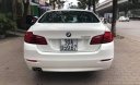 BMW 5 Series 520i  2014 - Cần bán lại xe BMW 5 Series 520i đời 2014, màu trắng, nhập khẩu nguyên chiếc chính chủ