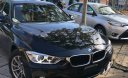 BMW 3 Series 320i  2014 - Cần bán xe BMW 3 Series 320i sản xuất năm 2014, màu đen, nhập khẩu nguyên chiếc