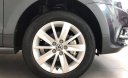 Volkswagen Polo 1.6L 2017 - Bán Volkswagen Polo Hatchback đời 2017, màu đen, nhập khẩu chính hãng LH: 0933.365.188