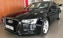 Audi A5 2012 - Bán Audi A5 2012, màu đen, nhập khẩu 