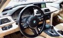 BMW 3 Series 320i 2014 - Bán ô tô BMW 3 Series 320i đời 2014, màu xanh lam, nhập khẩu