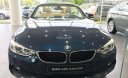 BMW 4 Series 420i 2017 - Cần bán BMW 4 Series năm sản xuất 2017, màu xanh lam, xe nhập