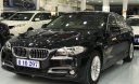 BMW 5 Series 520i 2015 - Cần bán lại xe BMW 5 Series 520i 2015, màu đen, nhập khẩu