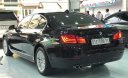 BMW 5 Series 520i 2015 - Cần bán lại xe BMW 5 Series 520i 2015, màu đen, nhập khẩu