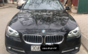 BMW 5 Series  520i 2013 - Bán BMW 5 Series 520i sản xuất 2013, màu đen