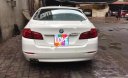 BMW 5 Series 520i 2015 - Bán xe BMW 5 Series 520i đời 2015, màu trắng, xe nhập