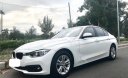 BMW 3 Series 320i 2016 - Bán BMW 3 Series 320i sản xuất năm 2016, màu trắng, nhập khẩu