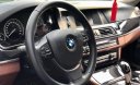 BMW 5 Series 520i 2016 - Bán BMW 5 Series 520i đời 2016, màu đen, xe nhập