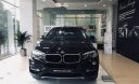 BMW X6 2017 - Cần bán xe BMW X6 đời 2017, màu đen, xe nhập