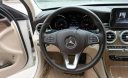 Mercedes-Benz C class C250 Exclusive 2016 - Bán Mercedes C250 đời 2016, màu trắng, xe nhập
