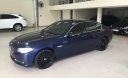 BMW 5 Series 520i 2016 - Cần bán gấp BMW 5 Series 520i sản xuất năm 2016, màu xanh lam, xe nhập số tự động