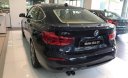 BMW 3 Series 320i GT 2017 - Bán ô tô BMW 3 Series 320i GT 2017, màu xanh lam, nhập khẩu