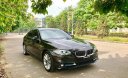 BMW 5 Series  520i 2014 - Cần bán lại xe BMW 5 Series 520i đời 2014, màu đen, giá tốt