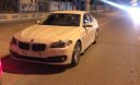 BMW 5 Series 520i 2015 - Bán ô tô BMW 5 Series 520i năm sản xuất 2015, màu trắng, nhập khẩu nguyên chiếc số tự động