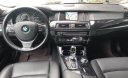 BMW 5 Series 520i 2015 - Bán xe BMW 5 Series đời 2015, màu đen, xe nhập