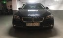 BMW 5 Series 520i 2015 - Bán BMW 5 Series 520i sản xuất 2015, màu đen, nhập khẩu xe gia đình