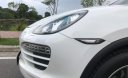 Porsche Cayenne   AT  2011 - Cần bán Porsche Cayenne AT đời 2011, nhập khẩu