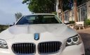BMW 5 Series   520i 2014 - Bán BMW 5 Series 520i sản xuất năm 2014, màu trắng, nhập khẩu  