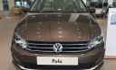 Volkswagen Polo 2017 - Cần bán Volkswagen Polo sedan năm sản xuất 2017, màu nâu, nhập khẩu, giá tốt LH: 0901 933 522 (Tường Vy)
