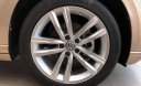 Volkswagen Passat Bluemotion 2018 - Bán Volkswagen Passat Bluemotion 2018 xe nhập khẩu nguyên chiếc từ Đức, xe chính hãng chỉ cần trả trước 450 triệu