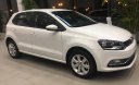 Volkswagen Polo Mới   Hatchback 2018 - Xe Mới Volkswagen Polo Hatchback 2018