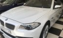 BMW 5 Series  520i 2.0 AT  2015 - Bán xe BMW 520i 2.0 AT sản xuất năm 2015, màu trắng, nhập khẩu nguyên chiếc