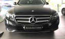 Mercedes-Benz E class E250 2017 - Bán Mercedes Benz E250 đen - giao ngay - còn mới