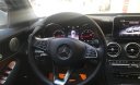 Mercedes-Benz GLC-Class GLC 300 2017 - Bán ô tô Mercedes-Benz GLC-300 sản xuất 2017, ĐK 11/2017, full options, biển Hà Nội, bao test