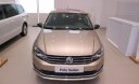 Volkswagen Polo Sedan 1.6L 2018 - Bán ô tô Volkswagen Polo Sedan 1.6L năm 2018, màu vàng, nhập khẩu chính hãng, giá 699tr