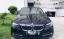 BMW 5 Series    520i   2014 - Cần bán gấp BMW 5 Series 520i sản xuất 2014

