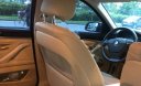 BMW 5 Series 520i  2015 - Bán BMW 5 Series 520i 2015, màu nâu, nhập khẩu nguyên chiếc xe gia đình
