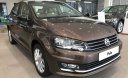 Volkswagen Polo 2017 - Bán Volkswagen Polo, màu nâu, nhập khẩu 2017, xe có giao ngay