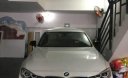 BMW 3 Series  320i   2013 - Bán xe BMW 320i đời 2013, màu trắng, nhập khẩu, giá 915tr