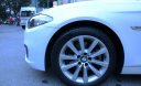 BMW 5 Series 520i 2016 - BMW 5 Series 520i năm sản xuất 2016