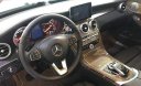 Mercedes-Benz C class C250   2017 - Cần bán xe Mercedes C250 đời 2017, màu trắng