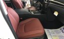 Lexus LX 570 2018 - Cần bán Lexus LX 570 đời 2018, màu trắng, xe nhập