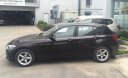 BMW 1 Series 118I 2016 - Bán BMW 118i màu nâu đen, sản xuất 2016, nhập khẩu, biển Hà Nội