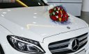 Mercedes-Benz C class C200 2018 - Cần bán xe Mercedes C200 sản xuất năm 2018, màu trắng