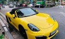 Porsche Boxster 2015 - Cần bán Porsche Boxster sản xuất 2015, màu vàng, xe nhập