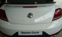 Volkswagen New Beetle Dune 2018 - Bán ô tô Volkswagen New Beetle Dune sản xuất năm 2018, màu trắng, xe nhập