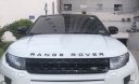 LandRover Evoque 2013 - Bán Range Rover Evoque 2013, đăng ký 2015, nhập Châu Âu, xe đẹp không lỗi bao kiểm tra hãng