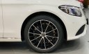 Mercedes-Benz C200 Exclusive 2019 - Bán Mercedes C200 Exclusive 2019 xe mới ra mắt - Xe giao ngay - Đủ màu - Chiết khấu đặc biệt - Tặng phụ kiện