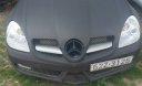 Mercedes-Benz SLK class 350 2004 - Cần bán xe Mercedes SLK 350 mui trần 2004, màu đen nhám