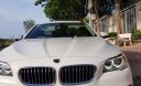 BMW 5 Series 520i 2015 - Cần bán gấp BMW 5 Series 520i đời 2015, màu trắng, nhập khẩu nguyên chiếc