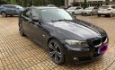 BMW 3 Series 320i 2009 - Bán BMW 3 Series 320i năm sản xuất 2009, màu đen, nhập khẩu nguyên chiếc chính chủ