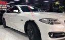 BMW 5 Series 520i 2015 - Bán BMW 5 Series 520i 2015, màu trắng