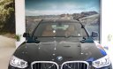 BMW X3 xDrive30i M Sport 2019 - Bán xe BMW X3 xDrive30i M Sport đời 2019, màu đen, nhập khẩu