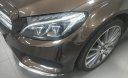 Mercedes-Benz C300 C300 AMG 2017 - Cần bán xe Mercedes C300 AMG 2017, màu nâu