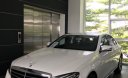 Mercedes-Benz E200 2018 - Bán ô tô Mercedes đời 2018